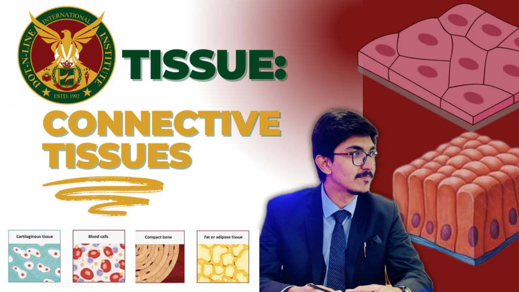 Connective Tissue