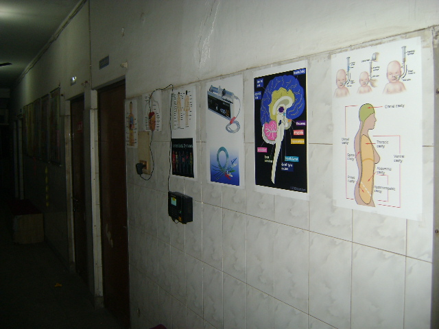 GDA LAB~WALL DISPLAY