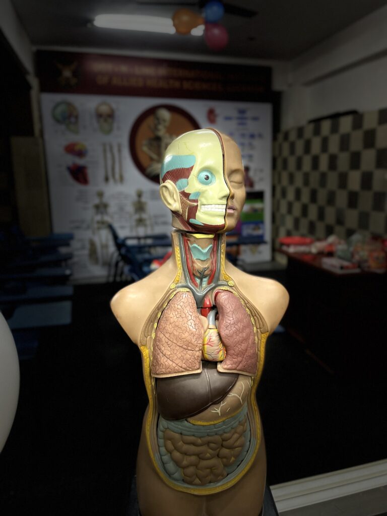Dot n Line Institute (The International Institute for Allied Health Sciences) , Zenith Hospital, Lucknow